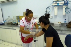 SAFARENF-12-1024x768