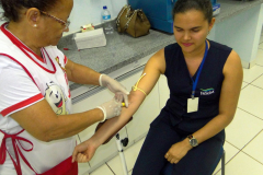 SAFARENF-14-1024x768