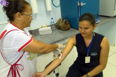 SAFARENF-1559f6f7ee12c28-1024x768