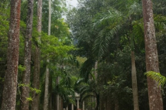 IMG-20161211-WA0015-576x1024