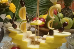 17190595_1128359640606085_8989301244986909870_n