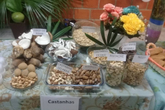 17201066_1128359717272744_2789470038015797192_n