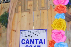 DSC06396-890x1024