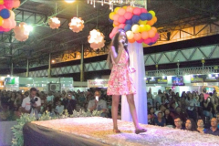 DSC06413-1024x424