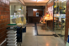 WhatsApp-Image-2017-11-28-at-17.42.49-1