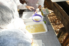 DSC09876