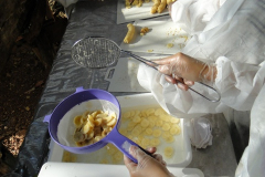 DSC09878