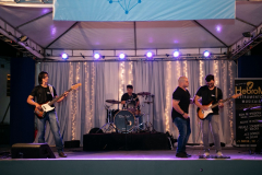 IMG_2508-1024x682