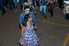 IMG_2887-1024x682
