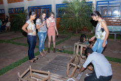 IMG_6060-1024x682