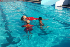 20150212_171642-1024x614