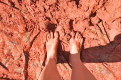 WhatsApp-Image-2017-10-10-at-11208-PM