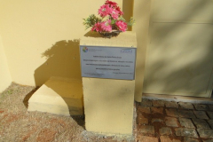 DSC03977