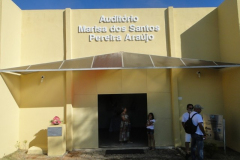 DSC03981