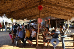 DSC_06835214d786d262a