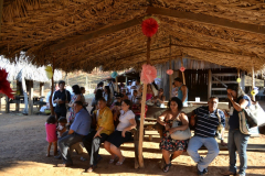 DSC_06855214d787100e3