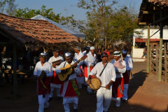 DSC_08175214d78ca19e3