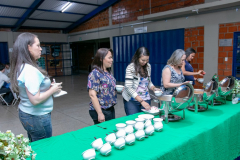 IMG_3793-1024x682